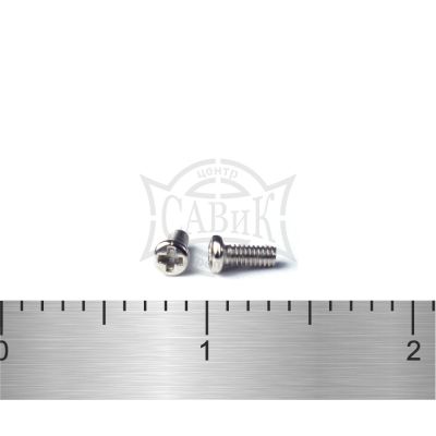 Винт GB 818 п/сф А2 микро 1,2х0.25х4